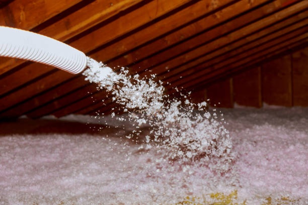 Best Insulation for New Construction  in Santa Moni, CA
